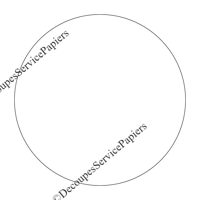 rond D 170.jpeg